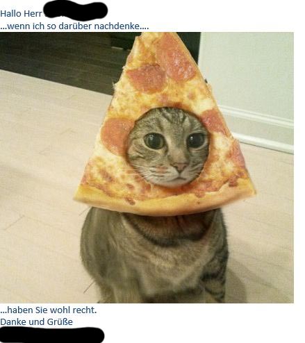 pizza-katze-,ail